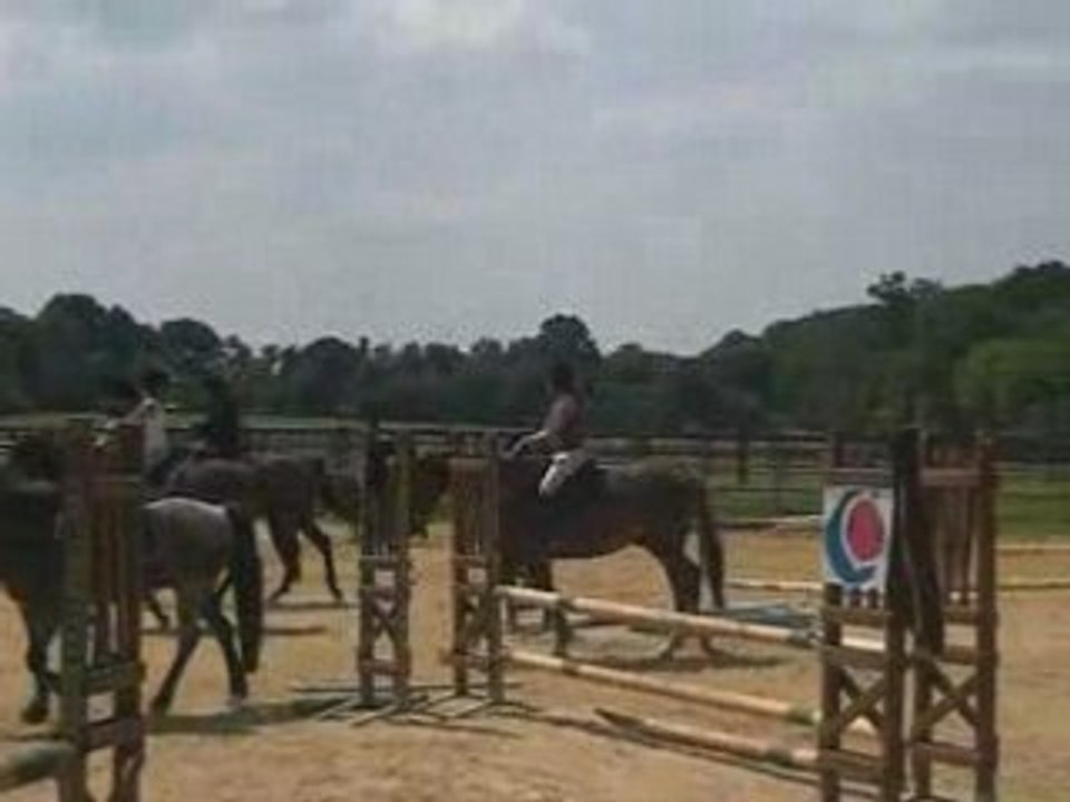 Cours de saut avec Jumper