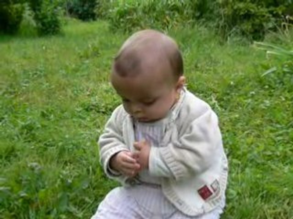 22 05 2008  Isaac grignote dans le jardin