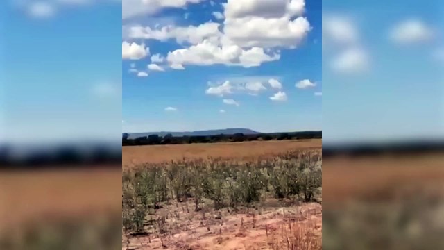 Encontraron más de 140 kilos de cocaína en en una avioneta caída en el sur de Salta