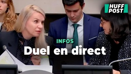 En commission sur la pétition anti-loi Duplomb, ce duel résume le dialogue de sourds