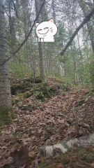 reality vs influencer 😂🤣