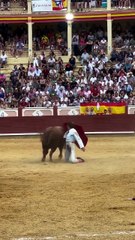 fernando adrian con batidero