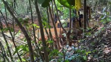 The Difficult Process of Clearing Roads in Extreme Mountains with a D6R XL Bulldozer