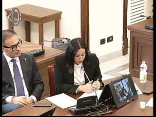 Roma - ​Docente per l’inclusione – Audizione – CONF.I.A.L.- ANDIS (05.11.25)