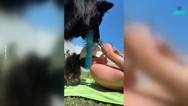 Woman Sunbathing Dog Won´t Let Her