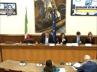 Roma -​ Disforia di genere-Audizioni-Furio Lambruschi,psicoterapeuta;Marco Del Giudice,docente;Andrea Garolla,docente;Michele Formisano,Pres.CEST;Matteo Mammini,avv.anti-discriminazioni;Marina Terragni,Autorità garante infanzia adolescenza (05.11.25