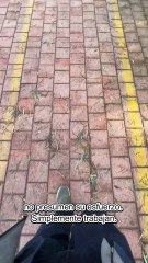 El Poder del Emprendedor Silencioso 🤫