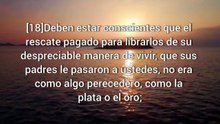 VERSÍCULO|DE LA BIBLIA
