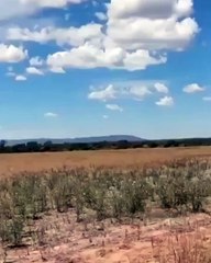 Impactante caída de un narcoavión en Rosario de la Frontera: 140 kilos de cocaína incautados