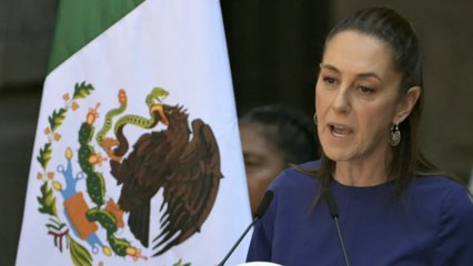 Presidenta Claudia Sheinbaum denuncia al hombre que la acosó sexualmente en la calle