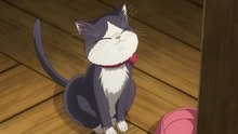 The Cat In My Room Episode 9 IN ENGLISH