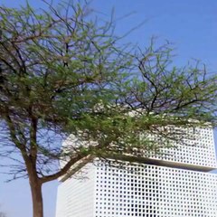 El encuentro de la jequesa de Catar y el rey Felipe de Bélgica.