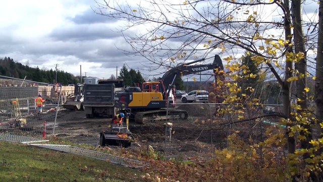 Jardin de pluie : pour une meilleure gestion des eaux pluviales