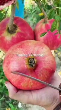 Turn fruit into profit 🍉 Start a fresh fruit slice business — low cost, high demand, and perfect for hot days! Would you try this idea? 👇 Follow Craftly for more small business inspiration #FruitBusiness #HealthySnacks #St Reacts | DIY videos | crafts