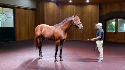 Japan's First Classic Winner Fastest Horse of the Week