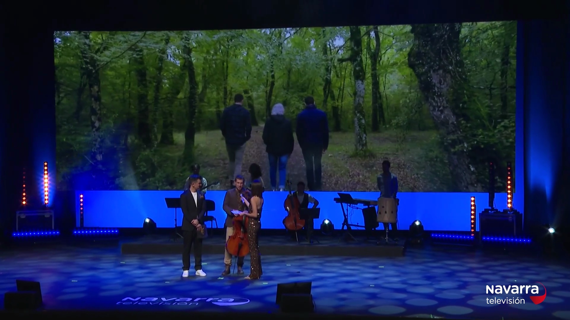 Premios Navarra Televisión