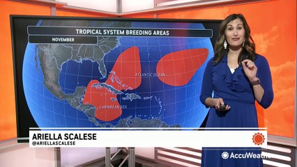 How many times have hurricanes made landfall in the Atlantic in November?