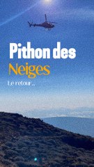 Python des Neiges: La Descente Épique!
