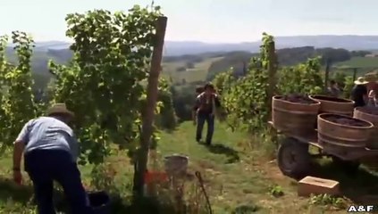 Die Stimme des Herzens