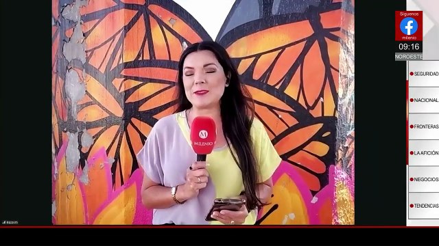 Llegan a Michoacán las primeras colonias de mariposas monarca tras larga migración