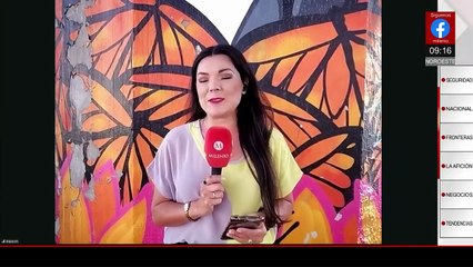 Llegan a Michoacán las primeras colonias de mariposas monarca tras larga migración