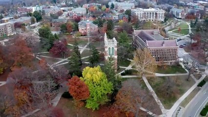 LOBO EM PELE DE CORDEIRO - O MÉDICO P3DÓFILO - T01EP01 - ID