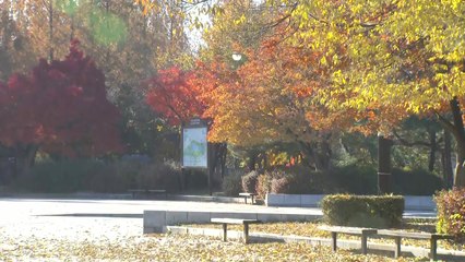 [날씨] 예년보다 온화, 한낮 20℃ 안팎...일교차·초미세먼지 주의 / YTN