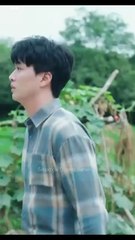 love after lies chinese drama