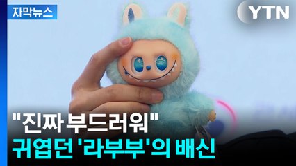 [자막뉴스] '라부부' 키링 조사했더니...깜짝 놀랄 결과 / YTN