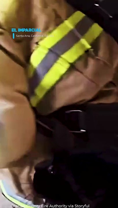 Bomberos salvan a dos gatos en un hogar en llamas