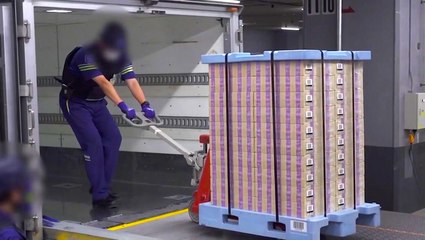 Why one of Asia's poorest countries grows Japan's cash