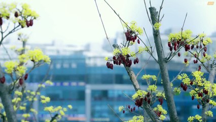 Sweetheart Service (2025) Episode 9 | Korean subbed EN