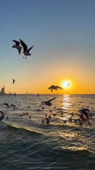 beautiful view of dubai and jumeria