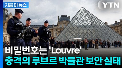 세계 최고 미술관의 비밀번호는 'Louvre'였다... 보안 실태에 전 세계 경악[지금이뉴스] / YTN