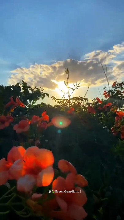 Sunrise like a diamond 💎