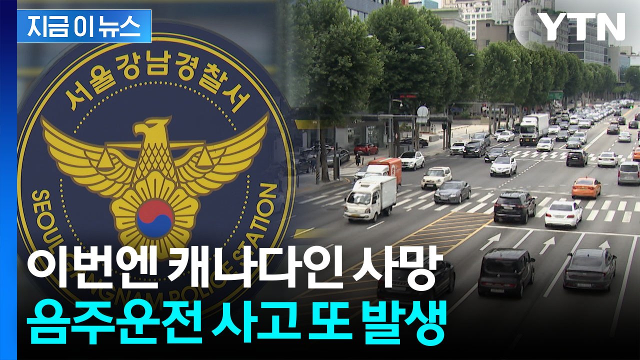 일본인 모녀 참변 이어 또...강남서 음주운전자 차에 치인 캐나다인 사망 [지금이뉴스...