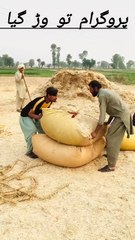 wait for end 😂 #funny #funnyclip #funnymovie #shortfeed🤪#comedy