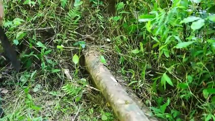 I Build My Dream House in the Forest in 90 Days _ From Start to Finish