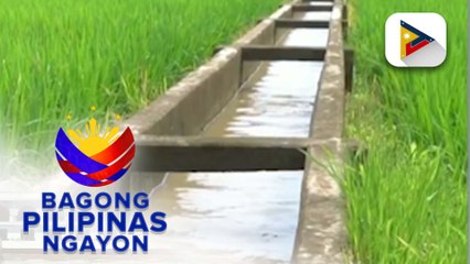 Panayam kay NIA Administrator, Engr. Eduardo Guillen ukol sa lagay ng mga dams sa mga lugar na apektado ng Bagyong #TinoPH at ang pagdiriwang ng Rice Awareness Month