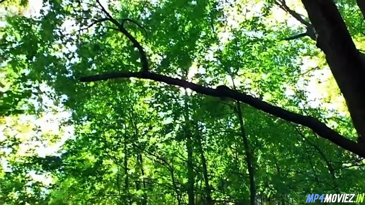 Swamp Devil (2008) – Full Movie Hollywood Hindi Dubbed