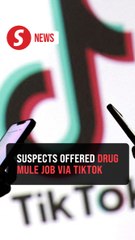 Two couples nabbed with 86kg cannabis worth RM8.3mil at Penang airport