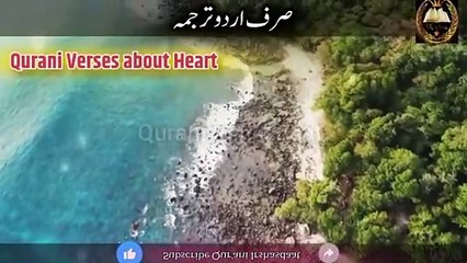 DIL About In Quran Verses Urdu Translation Listen Carefully