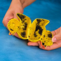 Rid your house of rust, limescale, mold with helpful deep cleaning hacks!  🧼