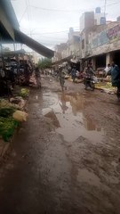 This content for evryone