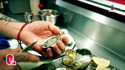 ¡Estos ostiones son de otro nivel! con Raquel Solves | Qué Importa