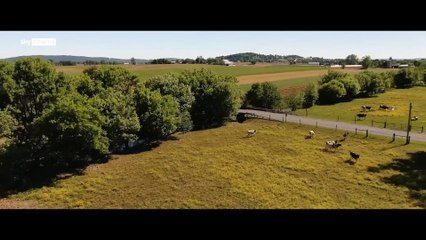 THIEVES HIGHWAY Official Trailer (2025) Aaron Eckhart