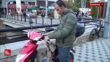 Gümüşhane'de köpeğini elektrikli motosikletiyle gezdiriyor