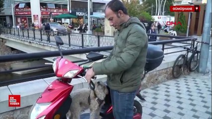 Gümüşhane'de köpeğini elektrikli motosikletiyle gezdiriyor
