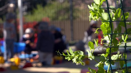 State regulator cancels registration of one provider in four years