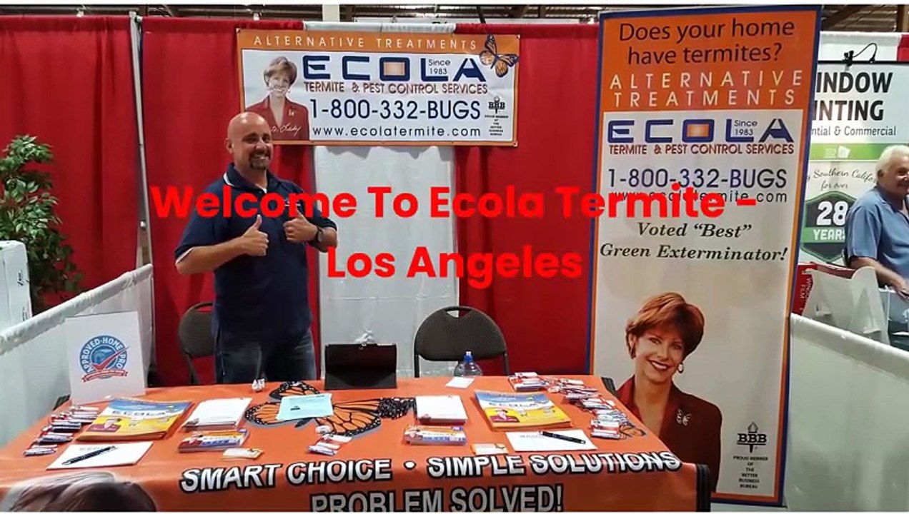 Ecola Termite Inspection in Los Angeles | (818) 920-7301